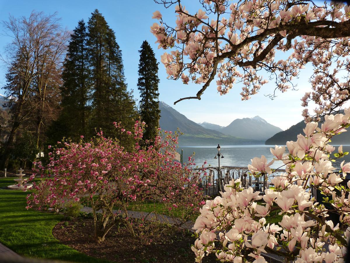 Hotel Vitznauerhof - Lifestyle Hideaway At Lake Lucerne Pokój zdjęcie
